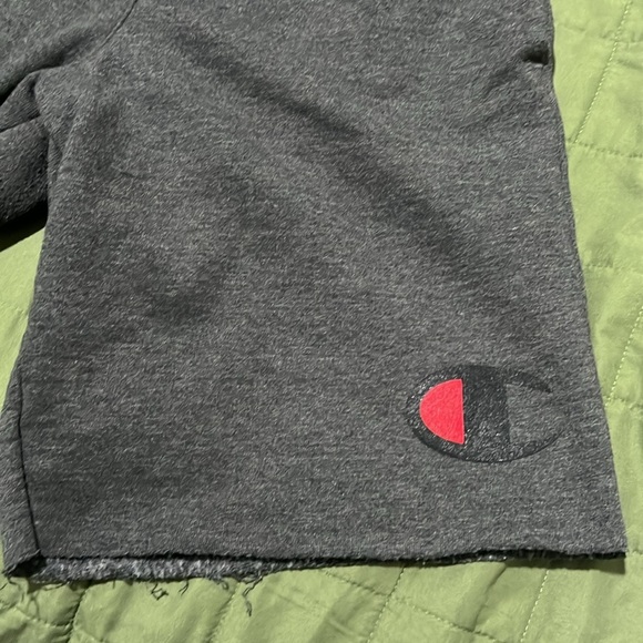 Champion Charcoal Gray shorts , size men’s small - Picture 2 of 4